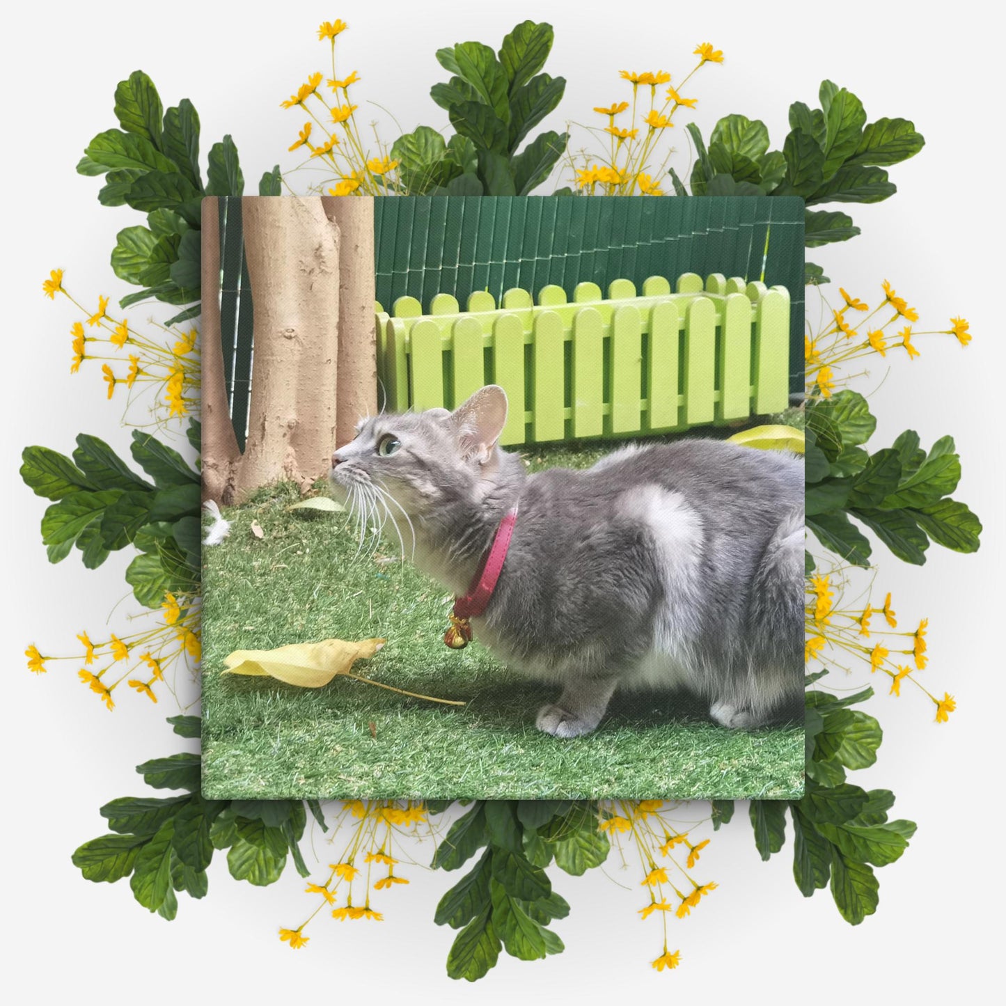 Cat Mulan 6 canvases