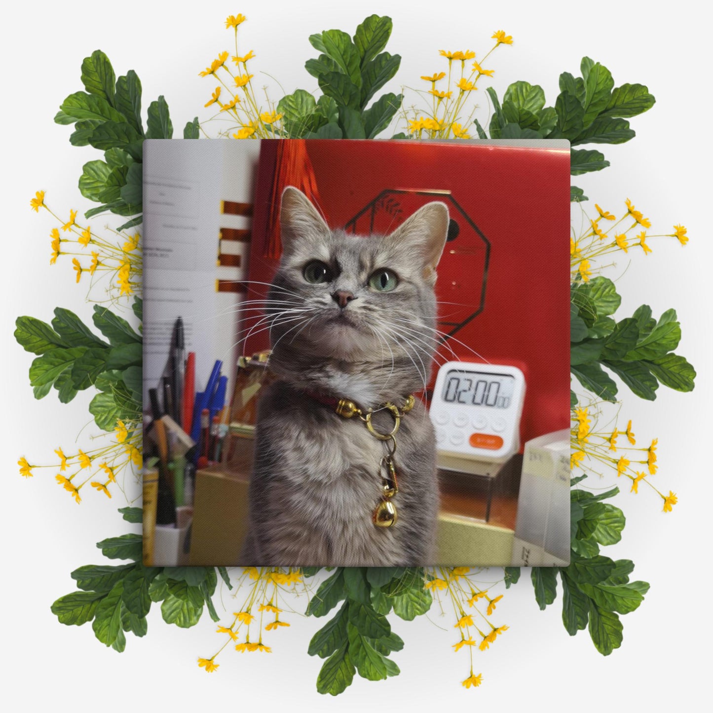 Cat Mulan 7 canvases