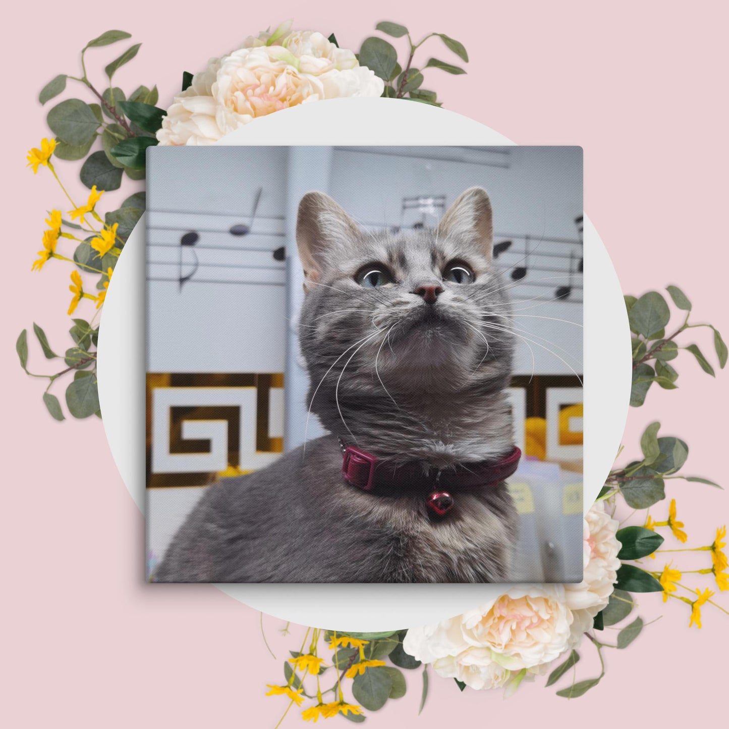 Cat Mulan 8 canvases