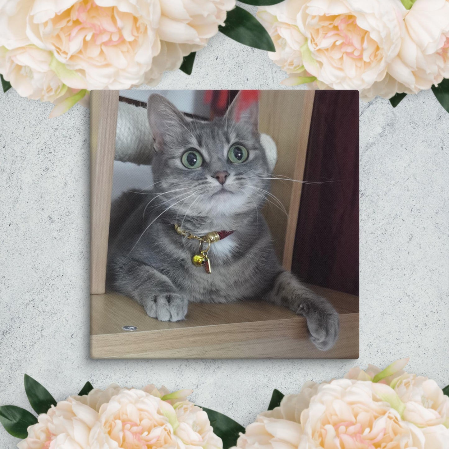 Cat Mulan 9 canvases