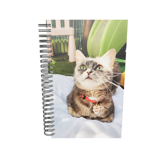 Carnet à spirale cat Mulan 
